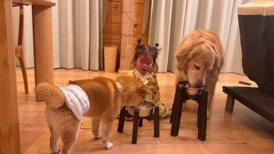 頼もしい末っ子さん♡