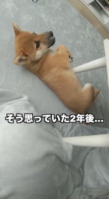 「本当にちゃんと成長するの…？」