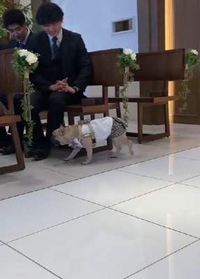 急ぎ足で参列席の中へ