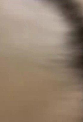 愛情あふれる再会となった