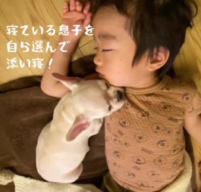 一緒に寝てる!!