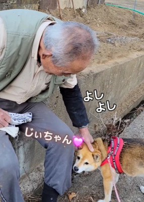 固い絆で結ばれていた…