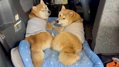 個性