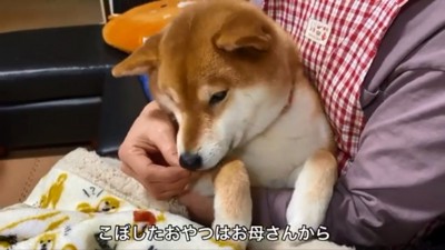 お母さんからおやつをもらうゆきちゃん