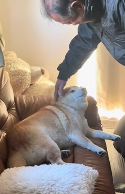 首元を撫でるおじいちゃん