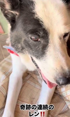 幸せになってよかったね