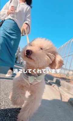 すいーぶ君の成長と変化4