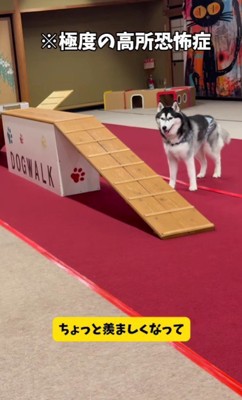 兄の姿に感銘を受けた？