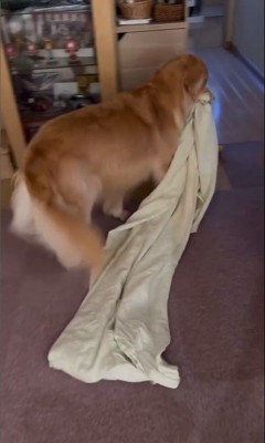 ご立腹のきなこちゃん2