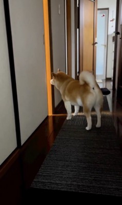 「ないてる…」