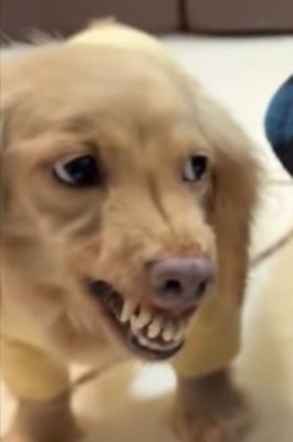 まさかのブチギレ!?