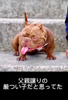 逞しい父親似かな？