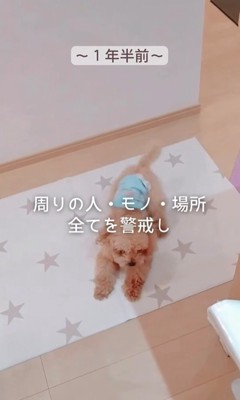 すいーぶ君の変化