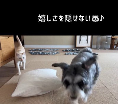 告げ口するモネちゃん⑩