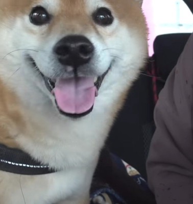 残念なお知らせ…