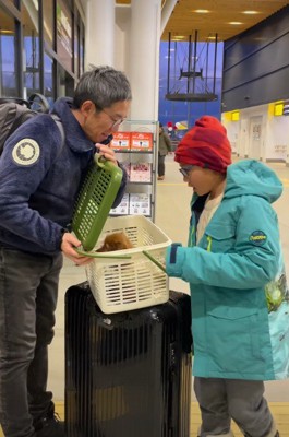 子犬が出てきた!!