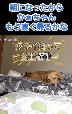 「まだかな…」