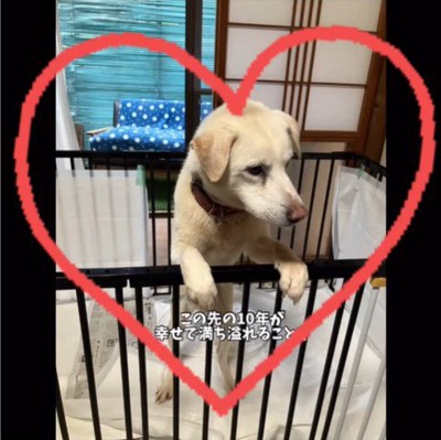 三郎くんが幸せを掴むまで9