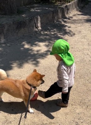 ボールで遊ぶ犬と幼児
