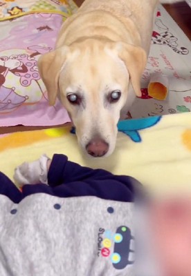 赤ちゃんのベッドへ