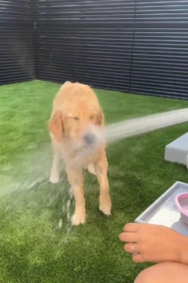 顔からシャワーを浴びる！？