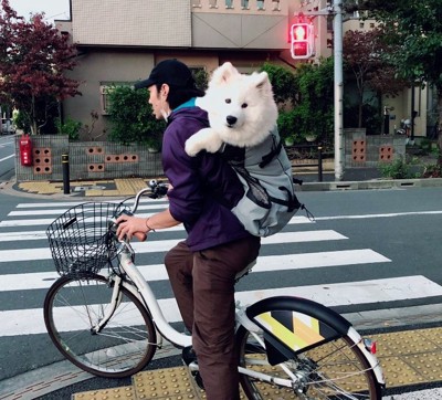 自転車