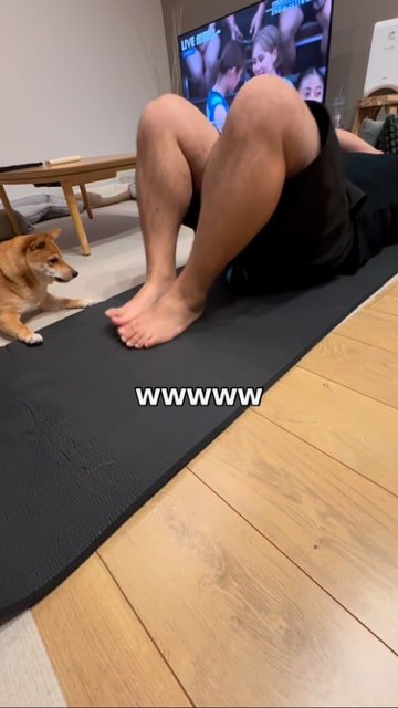 飼い主の足の下にボールが入ってしまい困る犬