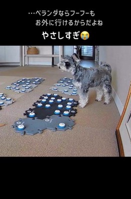 フーフーくんを気遣うモネちゃん⑩