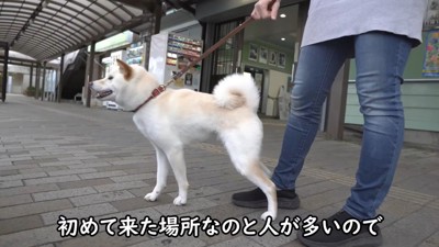 ワクワク♪