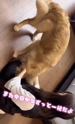 ずっと一緒