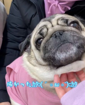 「なんで病院来たの！」