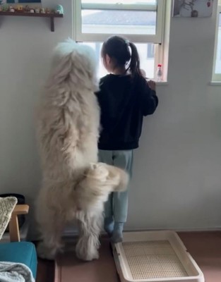 寄り添う女の子と犬