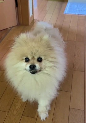 素敵なお見送り