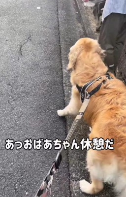 おばあちゃんのそばをキープ