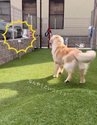 ビニール袋を発見