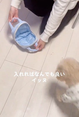 「バッグだ！」