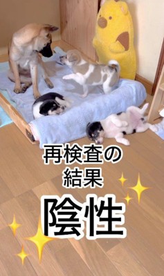 見事陰性に!