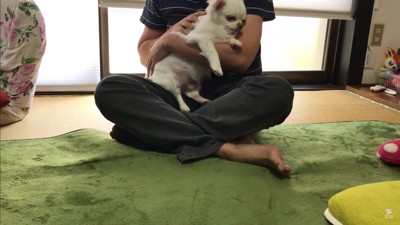 ドッキリに対するコハクくんの反応8