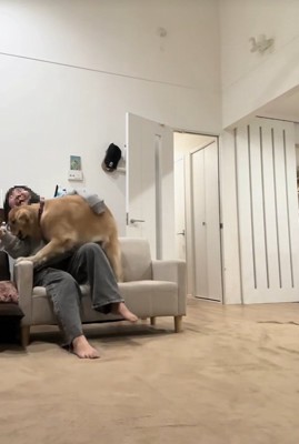 ハナコちゃんとお姉ちゃんの再会8