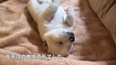 先天的な問題を抱えていました