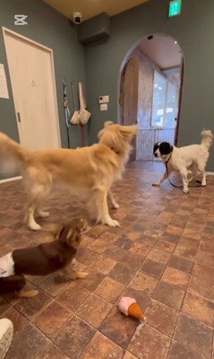 テトくんが幸せを掴むまで3