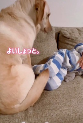 腰を下ろすダッフィーちゃん