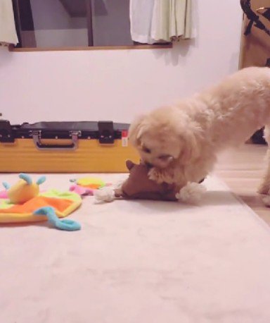 おもちゃを並べているのは…