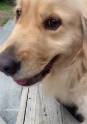 成長が感じられるね♪