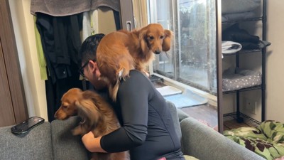 飼い主さんの肩に避難する子も(笑)