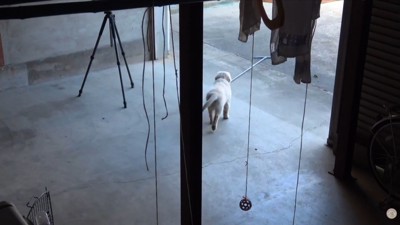 最後は飽きて立ち去りました（笑）