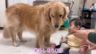 妹のほのかちゃん