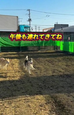 アークちゃんの笑顔が一番の幸せ