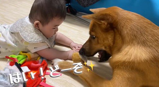 そらちゃんと赤ちゃん4