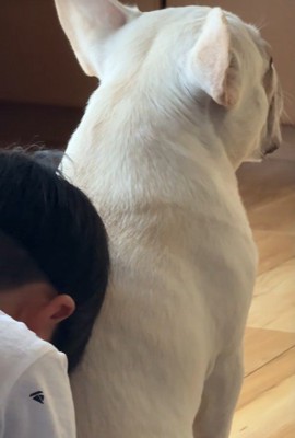 お兄ちゃんかお父さんのよう…！